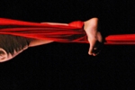 circus7493.jpg