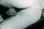 tv_9564.jpg